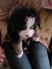 DSC03773t.JPG 180x240