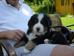 DSC03845t.JPG 240x180