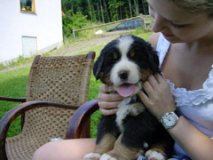 DSC03861t.JPG 240x180