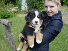 DSC04200t.JPG 240x180