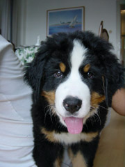 DSC04350t.JPG 180x240