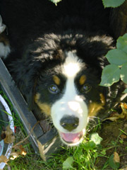 DSC04383t.JPG 180x240