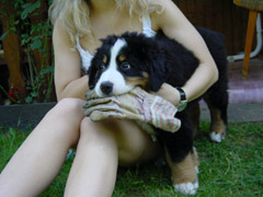 DSC04415t.JPG 240x180