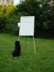 DSC04691t.JPG 180x240