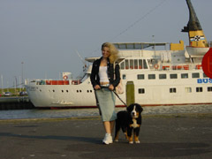 DSC04769t.JPG 240x180