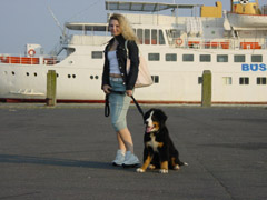 DSC04771t.JPG 240x180