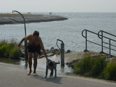 DSC04782t.JPG 240x180