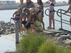 DSC04818t.JPG 240x180