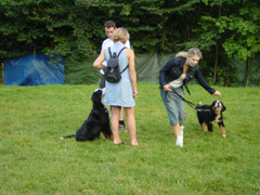 DSC04906t.JPG 240x180