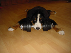 DSC04911t.JPG 240x180