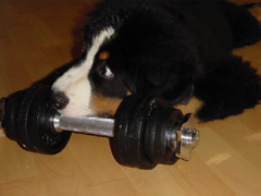 DSC04921t.JPG 240x180