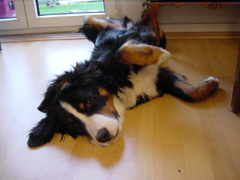 DSC05667T.JPG 240x180