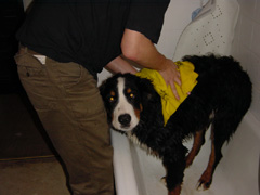 DSC05738T.JPG 240x180