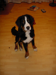 DSC05742T.JPG 180x240